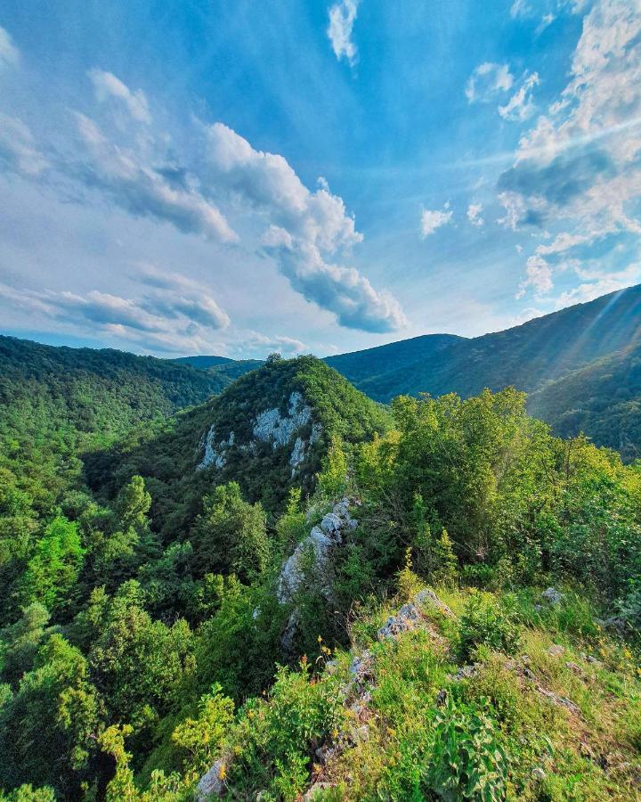Restoran Sa Prenocistem Gornjak Krepoljin Buitenkant foto