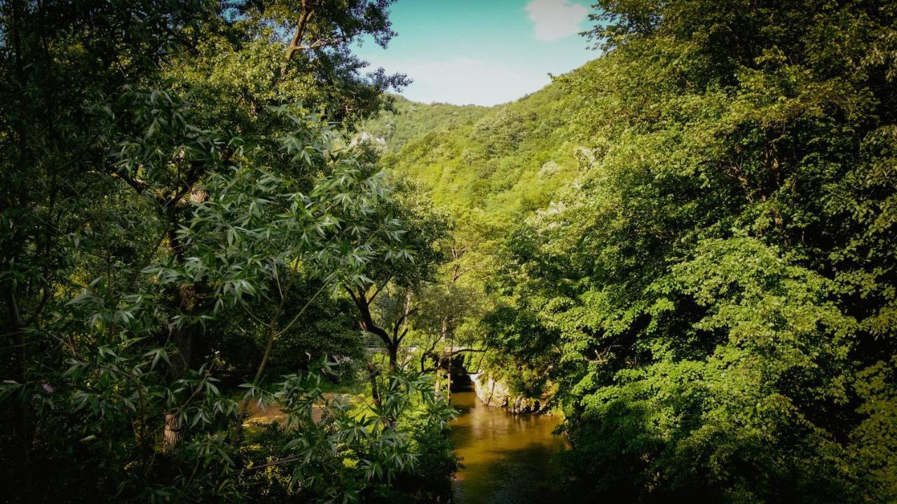 Restoran Sa Prenocistem Gornjak Krepoljin Buitenkant foto