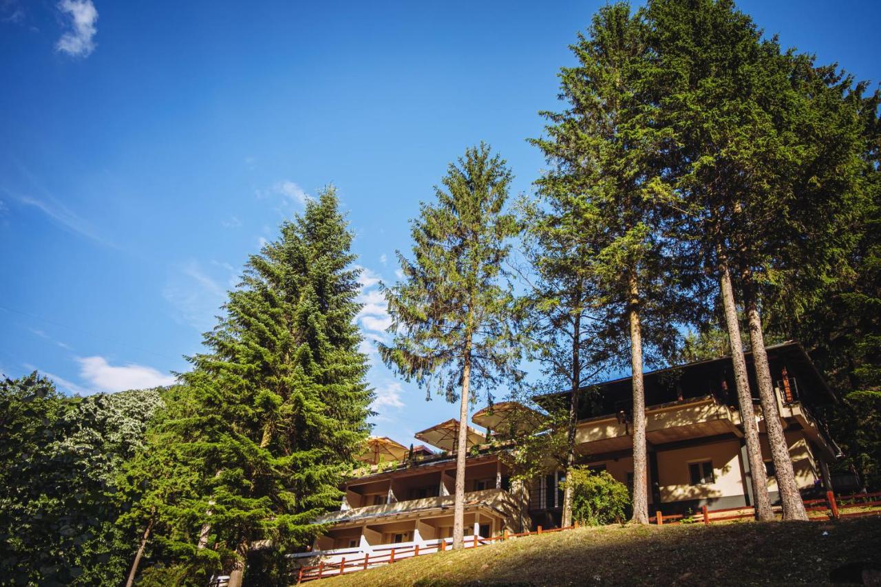 Restoran Sa Prenocistem Gornjak Hotel Krepoljin Buitenkant foto